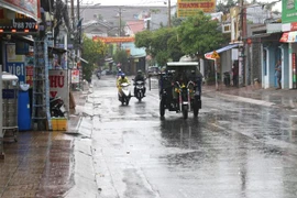 Ảnh minh họa. (Ảnh: Trần Xuân Tình/TTXVN)