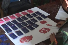 Tang vật một vụ án ma túy. (Ảnh: TTXVN phát)