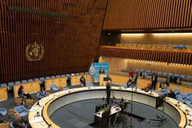 Hội nghị Đại Hội đồng Y tế Thế giới thuộc WHO, Geneva, Thụy Sĩ, ngày 18/5. (Ảnh: THX/TTXVN)