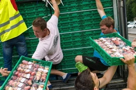 Ảnh chỉ có tính minh họa. (Nguồn: AFP)