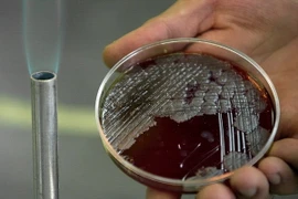 Ảnh chỉ có tính minh họa. (Nguồn: AP)