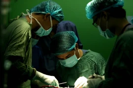 Ảnh chỉ có tính minh họa. (Ảnh: Mạnh Linh/TTXVN)