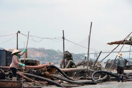 Việc hút cát trái phép huy động rất nhiều nhân công hút ngày đêm, mỗi lần hút đầy tàu khoảng 5 tiếng. (Ảnh: Nguyễn Hoàng/Vietnam+)