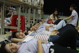 Ảnh chỉ có tính minh họa. (Nguồn: TTXVN)