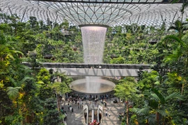 Sân bay quốc tế Changi của Singapore thu hút khách du lịch nhờ thác nước Rain Vortex cao nhất thế giới nằm trong nhà. (Ảnh: CTV/Vietnam+)