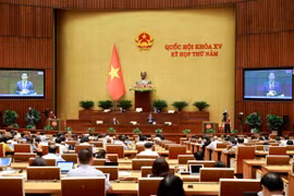Quốc hội thảo luận về dự án Luật Tài nguyên nước (sửa đổi). (Ảnh: Doãn Tấn/TTXVN)