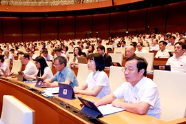 Các Đại biểu Quốc hội tại phiên thảo luận ở hội trường Quốc hội. (Ảnh: Doãn Tấn/TTXVN)
