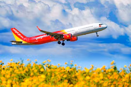 Máy bay của hãng hàng không Vietjet Air. (Ảnh: CTV/Vietnam+)