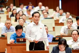 Phó Thủ tướng Chính phủ Trần Lưu Quang trả lời chất vấn, giải trình về những vấn đề có liên quan. (Ảnh: Doãn Tấn/TTXVN)