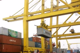 ICAEW: Việt Nam sẽ đạt mức tăng trưởng GDP mạnh mẽ