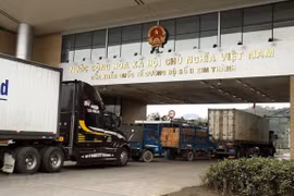 Ảnh minh họa. (Nguồn: TTXVN)