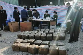 Tang vật một vụ án do lực lượng hải quan bắt giữ. (Ảnh: TTXVN phát)