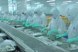 Ảnh minh họa. (Nguồn: PV/Vietnam+)