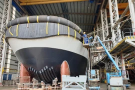 Ảnh minh họa. (Nguồn: Vietnam+)