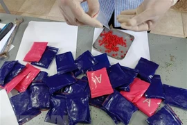 Tang vật một vụ bắt giữ ma túy. (Ảnh: TTXVN phát)