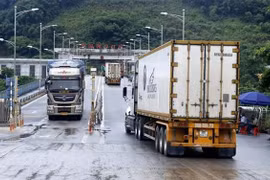 Các xe container chở thanh long xuất khẩu sang Trung Quốc qua cửa khẩu quốc tế đường bộ số II Kim Thành. (Ảnh: Quốc Khánh/TTXVN)