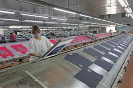 Bức tranh kinh tế 6 tháng có nhiều điểm sáng, đáng tự hào. (Ảnh: Trần Việt/TTXVN)