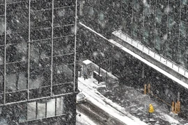 Tuyết phủ trắng xóa đường phố. Ảnh minh họa. (Nguồn: AFP/TTXVN)