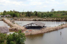 Hạn, mặn nghiêm trọng khiến nhiều đầm nuôi tôm công nghiệp ở Cà Mau bị bỏ hoang. (Ảnh: Kim Há/TTXVN)