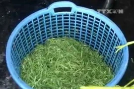 Ảnh minh họa. (Nguồn: Vnews)