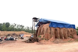 Ảnh minh họa. (Nguồn: Nguyễn Văn Cảnh/TTXVN)