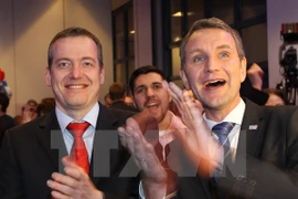 Đại diện đảng AfD. (Ảnh: AFP/TTXVN)