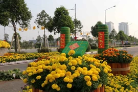 Một góc đường hoa nghệ thuật. (Ảnh: Quách Lắm/TTXVN)