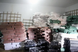 Số cá nục có chất Phenol hiện đang chứa trong kho đông lạnh của bà Lê Thị Thuộc, thị trấn Cửa Tùng. (Ảnh: Thanh Thủy/TTXVN)