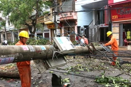 Công nhân Công ty ĐIện lực Nam Định thuộc Tổng công ty Điện lực miền Bắc khắc phục các sự cố về điện do cơn bão số 1 gây ra. (Ảnh: Ngọc Hà/TTXVN)