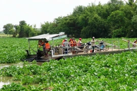 Bến đò hoạt động đưa khách qua sông Vàm Cỏ Đông. (Ảnh: Thanh Tân/TTXVN)