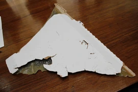 Một trong hai mảnh vỡ nghi của chiếc máy bay MH370 được tìm thấy ở Mozambique. (Ảnh: THX/TTXVN)