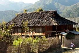 Một ngôi nhà sàn được làm bằng gỗ pơmu. (Ảnh: Điêu Chính Tới/TTXVN)