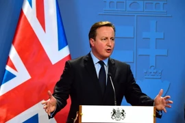 Thủ tướng Anh David Cameron. (Ảnh: AFP/TTXVN)