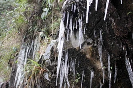 Nước trên các vách đá nhỏ xuống cũng đóng băng thành những nhũ đá óng ánh đẹp mắt. (Ảnh: Quốc Đạt/TTXVN)