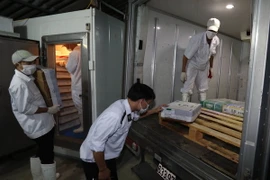 Nhân viên Thú y kiểm tra xuất xứ sản phẩm thịt đông lạnh tại Công ty TNHH thương mại dịch vụ thực phẩm An Hà xã Vân Nội, huyện Đông Anh, thành phố Hà Nội. (Ảnh: Vũ Sinh/TTXVN)