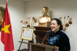 Đại sứ, Trưởng Phái đoàn Việt Nam tại LHQ Nguyễn Phương Nga. (Ảnh: Ảnh: Lê Dương/TTXVN)