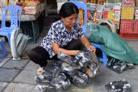 Người dân vẫn "hồn nhiên" đốt vàng mã trên đường phố Hà Nộ. (Ảnh: Nhật Anh/TTXVN)