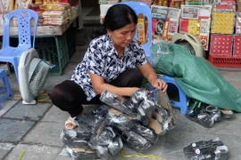 Người dân vẫn "hồn nhiên" đốt vàng mã trên đường phố Hà Nộ. (Ảnh: Nhật Anh/TTXVN)