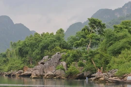 Phong cảnh Vườn quốc gia Phong Nha-Kẻ Bàng bên dòng sông Chày. (Ảnh: Thanh Hà/TTXVN)