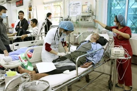 (Ảnh minh họa: Dương Ngọc/TTXVN)