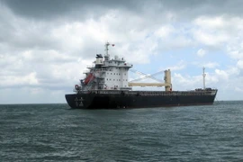 (Ảnh minh họa: Đoàn Mạnh Dương/ TTXVN)