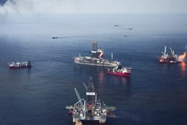 Vịnh Mexico. (Nguồn: epa.eu)