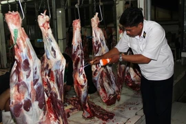 Kiểm tra an toàn vệ sinh thực phẩm. (Ảnh minh họa: Lê Đức Hoảnh/TTXVN)