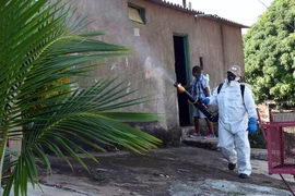 Phun thuốc diệt muỗi phòng tránh lây nhiễm virus zika. (Ảnh: AFP/TTXVN)