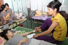 (Ảnh minh họa: Thanh Thủy/TTXVN)