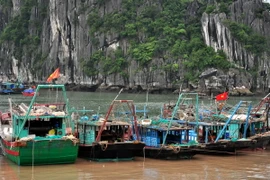 Tàu thuyền của ngư dân đã về neo đậu tránh bão số 3 tại thành phố Hạ Long. (Ảnh: Nguyễn Hoàng/TTXVN)