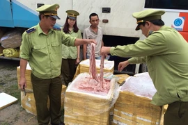 (Ảnh minh họa: Hoa Mai/TTXVN)