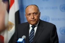 Ngoại trưởng Ai Cập Sameh Shoukry. (Ảnh: THX/TTXVN) 