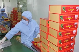 Dây chuyền sản xuất đông dược đông dược quy mô lớn đầu tiên tại khu vực Tây Nguyên. (Ảnh: Hoàng Kha/TTXVN)