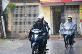 (Ảnh minh họa: Lê Minh Sơn/Vietnam+)